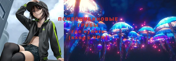 бошки Верхнеуральск