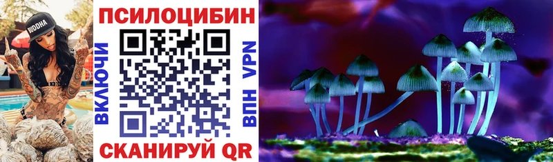Псилоцибиновые грибы Psilocybe  KRAKEN как войти  Княгинино 